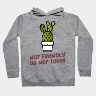 Not Friendly Do Not Touch Hoodie